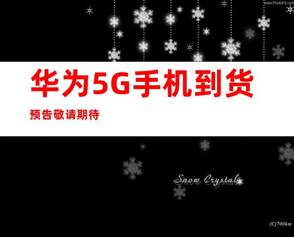 传承红色血脉，筑牢Weilink长城